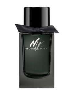 عطر ادکلن باربری مستر باربری ادو پرفیوم | Burberry Mr. Burberry Eau de Parfum